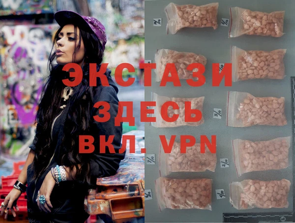 хмурый Аркадак