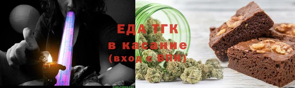 хмурый Аркадак