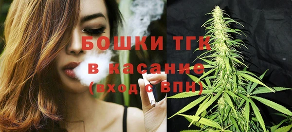 хмурый Аркадак