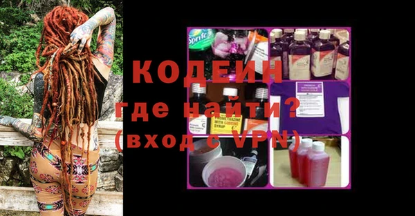 хмурый Аркадак