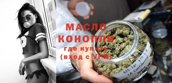 хмурый Аркадак