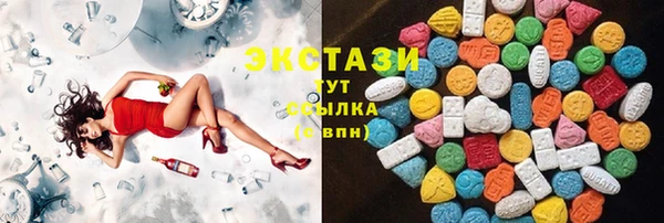 хмурый Аркадак