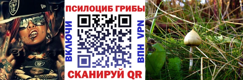 Галлюциногенные грибы Magic Shrooms  hydra ССЫЛКА  Ступино 